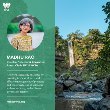 WCS CBD COP17 Quote Cards - Madhu Rao